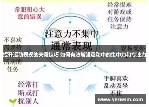 提升运动表现的关键技巧 如何有效增强运动中的集中力和专注力